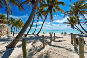 Beach and Palm Trees in Key West